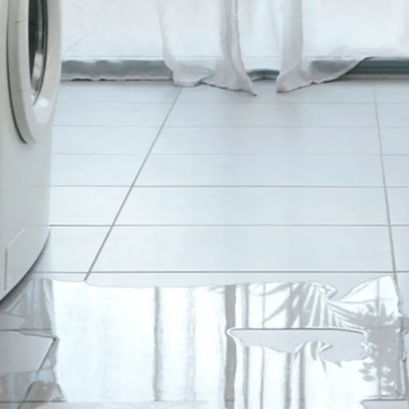 Appliance Leak Cleanup in Bogata, TX