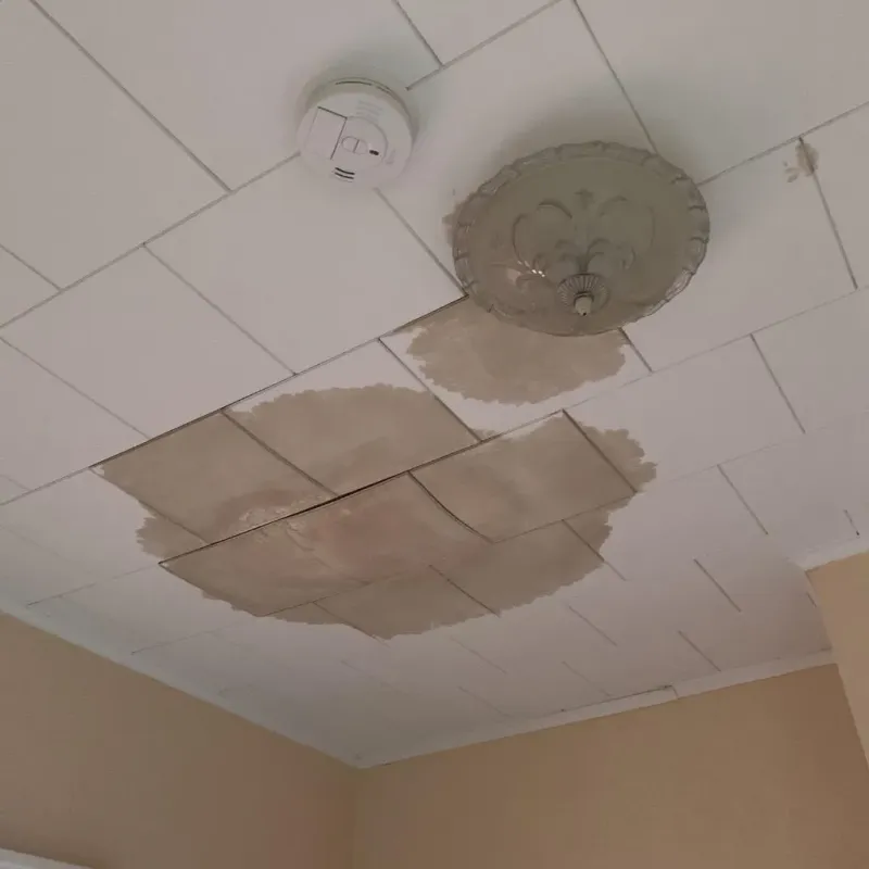 Ceiling Water Damage Repair in Bogata, TX