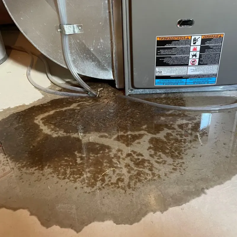 Pipe Burst and Leak Restoration in Bogata, TX