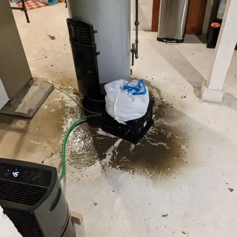 Sewage Backup Cleanup Service in Bogata, TX